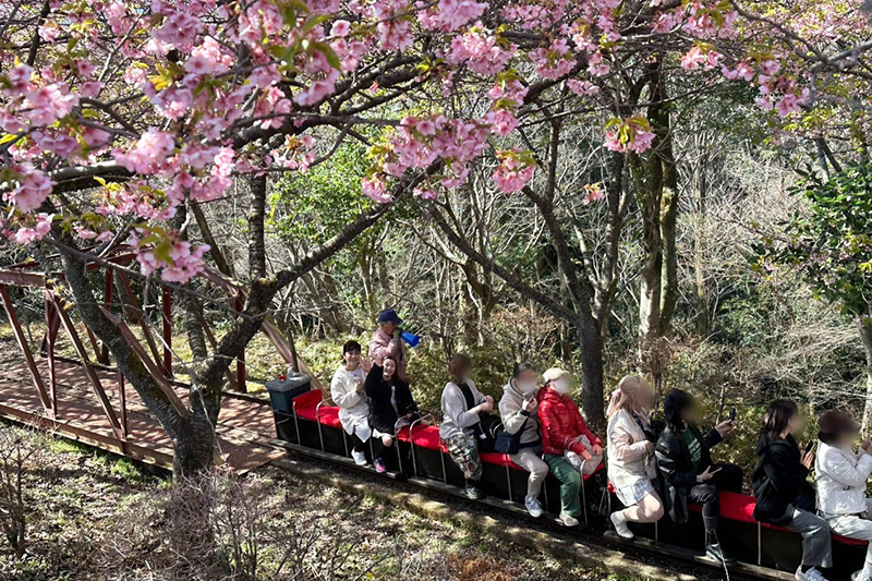 西平畑公園「ふるさと鉄道」