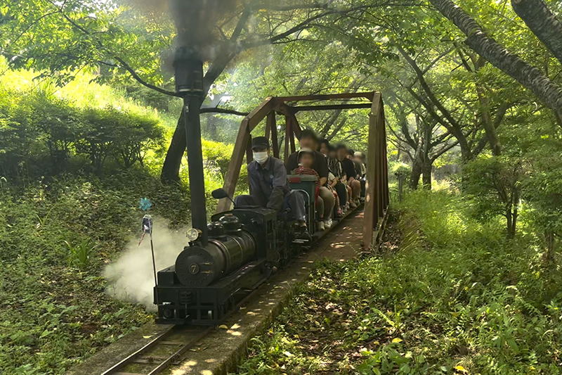 西平畑公園「ふるさと鉄道」
