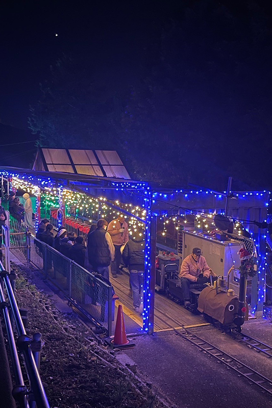 西平畑公園「ふるさと鉄道」